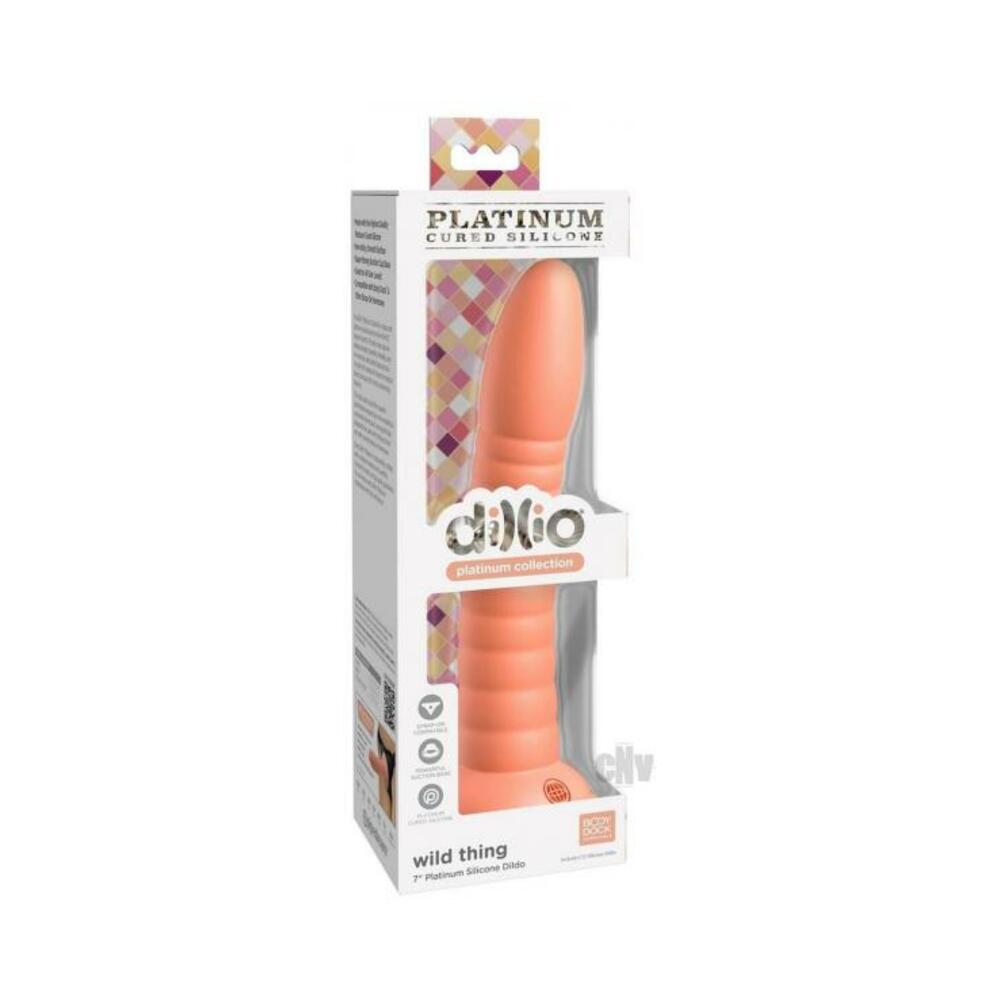 603912772807_1 Dillio Platinum Wild Thing Orange - Image 1