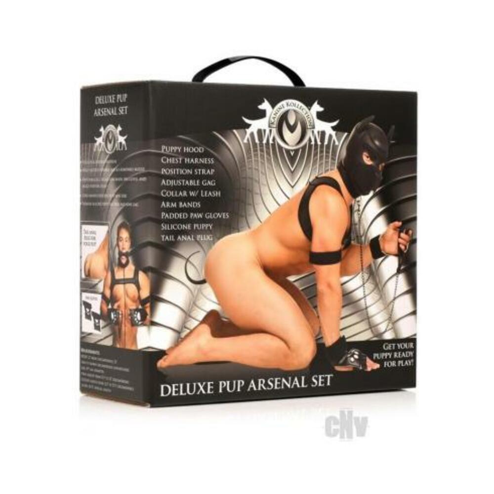 848518053015_1 Ms Deluxe Pup Arsenal Set - Image 1