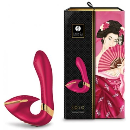 Shunga Soyo Intimate Massager - Raspberry