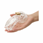 The Curve Male Chastity Device - Image 2