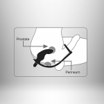 Ro-Zen Pro Rechargeable 10X Black Prostate Massager - Image 3