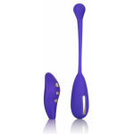 Impulse Intimate E-Stimulator Remote Kegel Exerciser