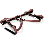 Her Royal Harness The Regal Duchess O/S Red