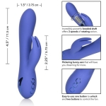 California Dreaming Beverly Hills Bunny Vibrator - Image 3