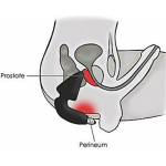 Rocks-off Butt-boy (black) - Image 2