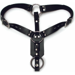Kinklab Anal Plug Harness With Cock Ring - Image 2