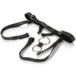 Her Royal Harness Duchess Black Boxed - Image 3