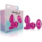 Cheeky Charms Vibrating Metal Plug Pink Medium W/ Remote - Image 3