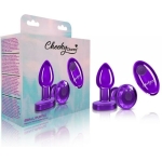 Cheeky Charms Vibrating Metal Plug Purple Small W/ Remote - Image 3