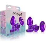 Cheeky Charms Vibrating Metal Plug Purple Medium W/ Remote - Image 2