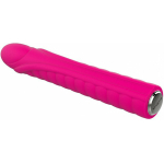 Nalone Dixie Silicone Bullet 20 Function Usb Rechargeable Waterproof Pink
